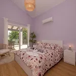 Villaser *